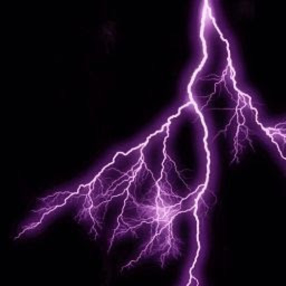 Meet your Posher, Memdog - Picture 1 of 1